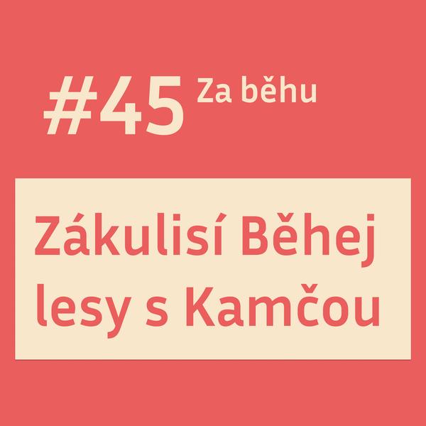 Za běhu